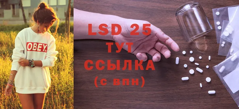 где купить наркоту  Невельск  LSD-25 экстази ecstasy 